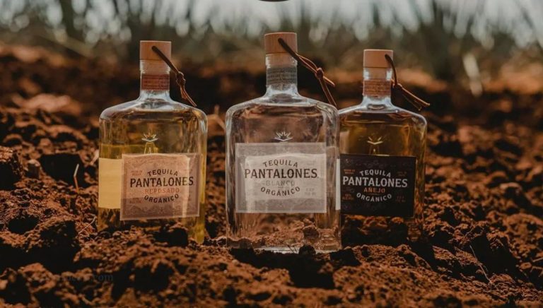 Pantalones Tequila: The Bold Fashion Statement Blending Culture, Style, and Attitude
