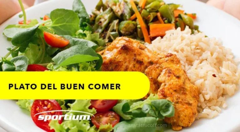Plato del Buen Comer: Guía Completa para una Alimentación Saludable Plato del Buen Comer: Guía Completa para una Alimentación Saludable